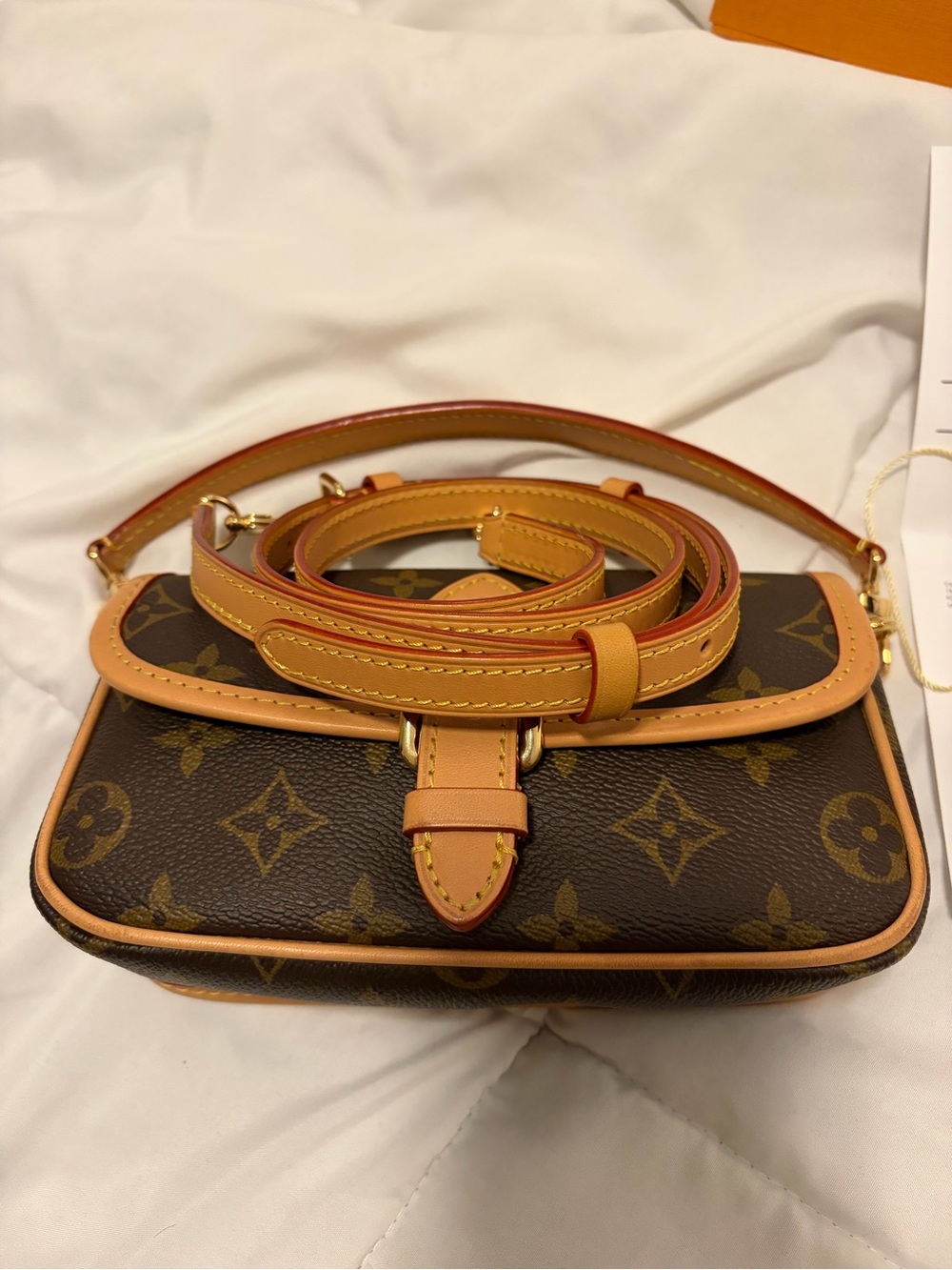 Louis Vuitton Monogram Nano Diane - Picture 9 of 13